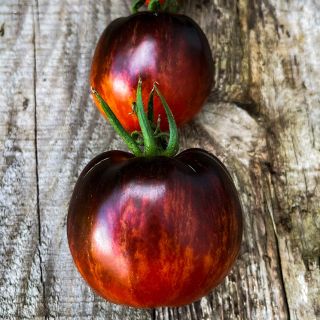 A Couple of Queen of the Night Tomatoes on a weathered wooden background.