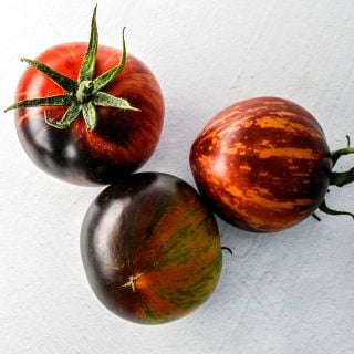 Three Queen of the Night tomatoes on white background.