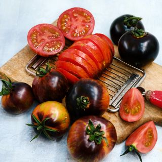 Queen of the Night Tomatoes on a cutting board with a tomato slicer.