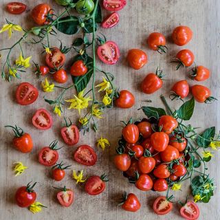 Overhead view of Sweetheart Cherry Tomatoes with foliage and blooms on a wood cutting board.