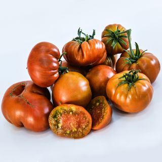 A mountain of Thorburn's Terra-Cotta Tomatoes on white background.