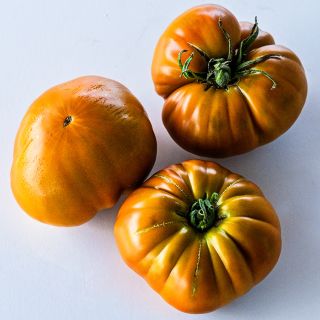 Three Thorburn's Terra-Cotta Tomatoes on a white background.