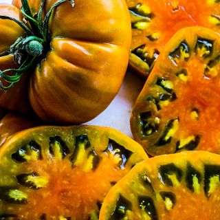 A close-up of Thorburn's Terra-Cotta Tomatoes with juicy slices.