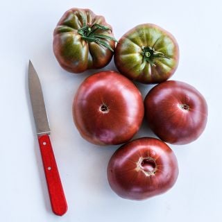 Overhead view of five True Beefsteak or Fejee Improved Tomatoes with a red handled knife on a white background.