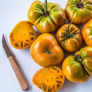 Cut and whole Uluru Ochre Tomatoes arranged on a white background with a wood handled knife.