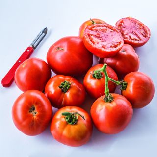 A productive harvest of Wood's Famous Brimmer tomatoes arranged on white background with a peeler.