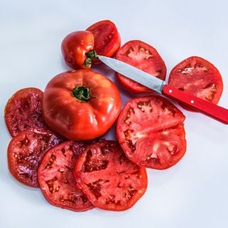 A whole Wood's Famous Brimmer Tomato surrounded by juicy slices on white background.