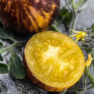A close-up view of cut and whole Wooly Kate Tomatoes with blooms and foliage.
