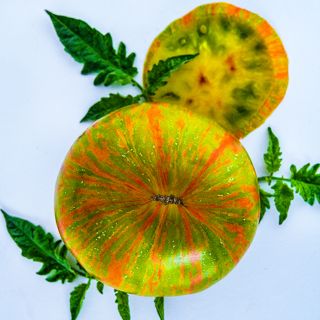 Close-up of Berkeley Tie-Dye Green Tomato with a slice and leaves in the background.
