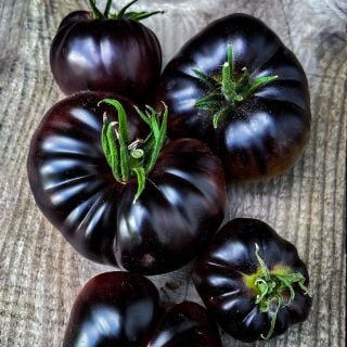 Black Beauty Tomatoes on a wood background. Image by Lucy Hutchins.