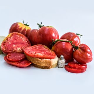 Bread and Salt Tomatoes with bread and salt shaker on a bright white background.