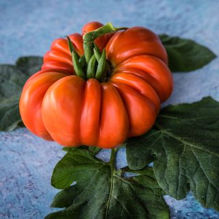 Tomato Seeds, Burmese Sour