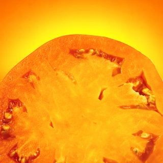 Detailed macro view of a slice of a Dad's Sunset Tomato against a sunset in the background.