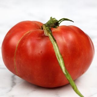 A single Dester Tomato on a white marble countertop.