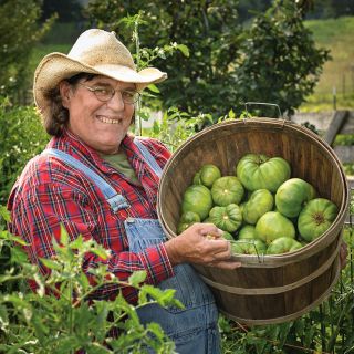 A gardener is smiling while holding a plentiful basket of Green Giant Tomatoes on the farm.