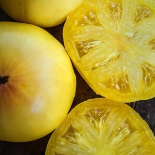 Close-up Macro view of juicy sliced yellow Hugh's Tomatoes on wood cutting board.