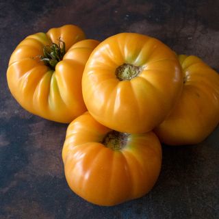 Four Kentucky Beefsteak Tomatoes on a dark background.