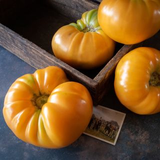 Kentucky Beefsteak Tomatoes with an old farm picture and wooden box.