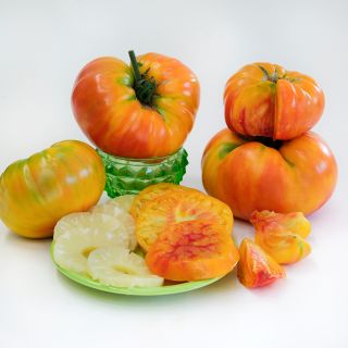 Cut and whole Pineapple Tomatoes on green plates against a white background.