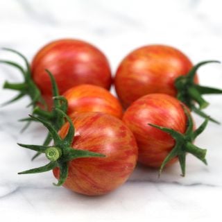Five Pink Bumble Bee Tomatoes on a white marble countertop.