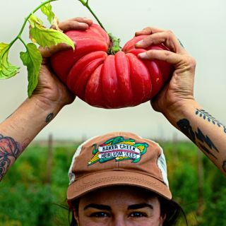 Woman wearing a Baker Creek Trucker Hat holding a large Pink Jazz Tomato over her head in the field.