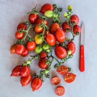 Overhead view of a cluster of Principe Borghese Tomatoes with a knife and some sliced.