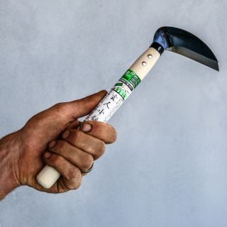 A gardener holding a Left Handed Professional Sickle against a gray wall.