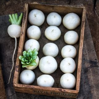 Tokinashi Turnips arranged in rows in a Japanese wooden box on a wooden background.