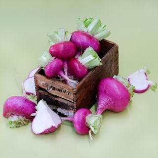 Cut and whole Hida Beni Red Turnips in a wooden box on light green seamless background.