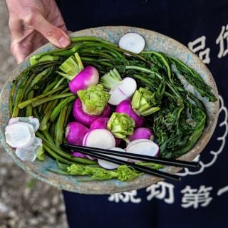 A man in a Japanese chef apron holding sauteed turnip greens and Nagasaki Akari Kabu Turnips.