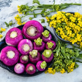 Nagasaki Akari Kabu Turnips on a plate with yellow blooms.