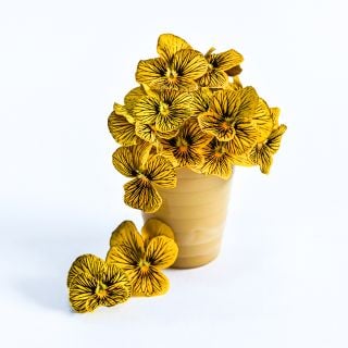 Tiger Laeta Viola flowers in an arrangement.