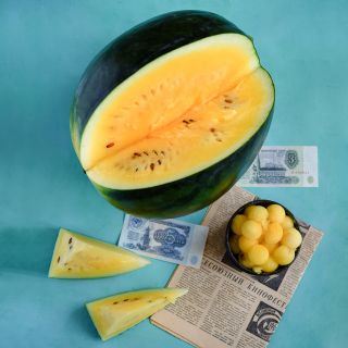 Janosik Watermelon with slices and melon balls on a teal colored background.