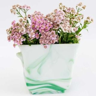 Love Parade Yarrow blooms in a green and white marble vase on a white background.