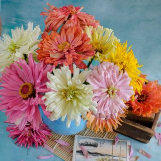 Zinnia, Takii's Choice Mix in a blue metal pitcher seen from above.