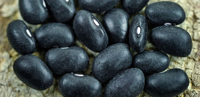 The Breathtaking Black Turtle Bean