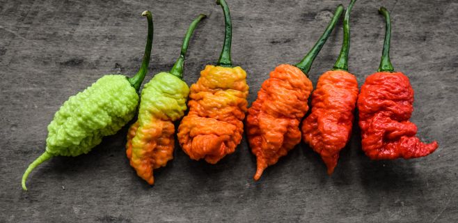 New Varieties for 2020!