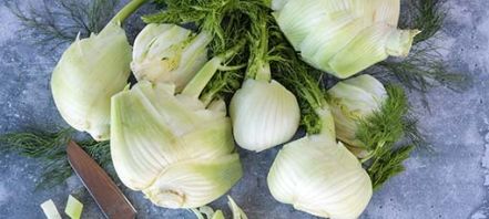 white/pale green fennel bulbs and stems, whole and sliced, with darker green fronds and a paring knife with a black handle on a blue surface