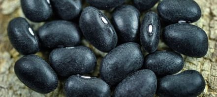 The Breathtaking Black Turtle Bean
