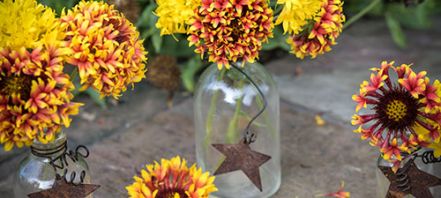 How To Grow Gaillardia Seeds