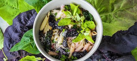How To Grow Orach Seeds