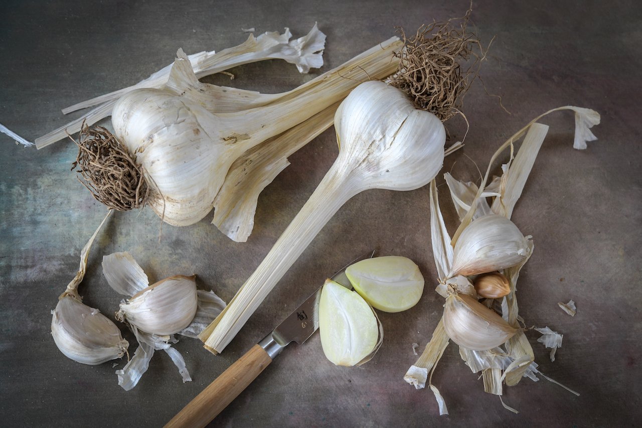 Elephant garlic heads, knife on wood