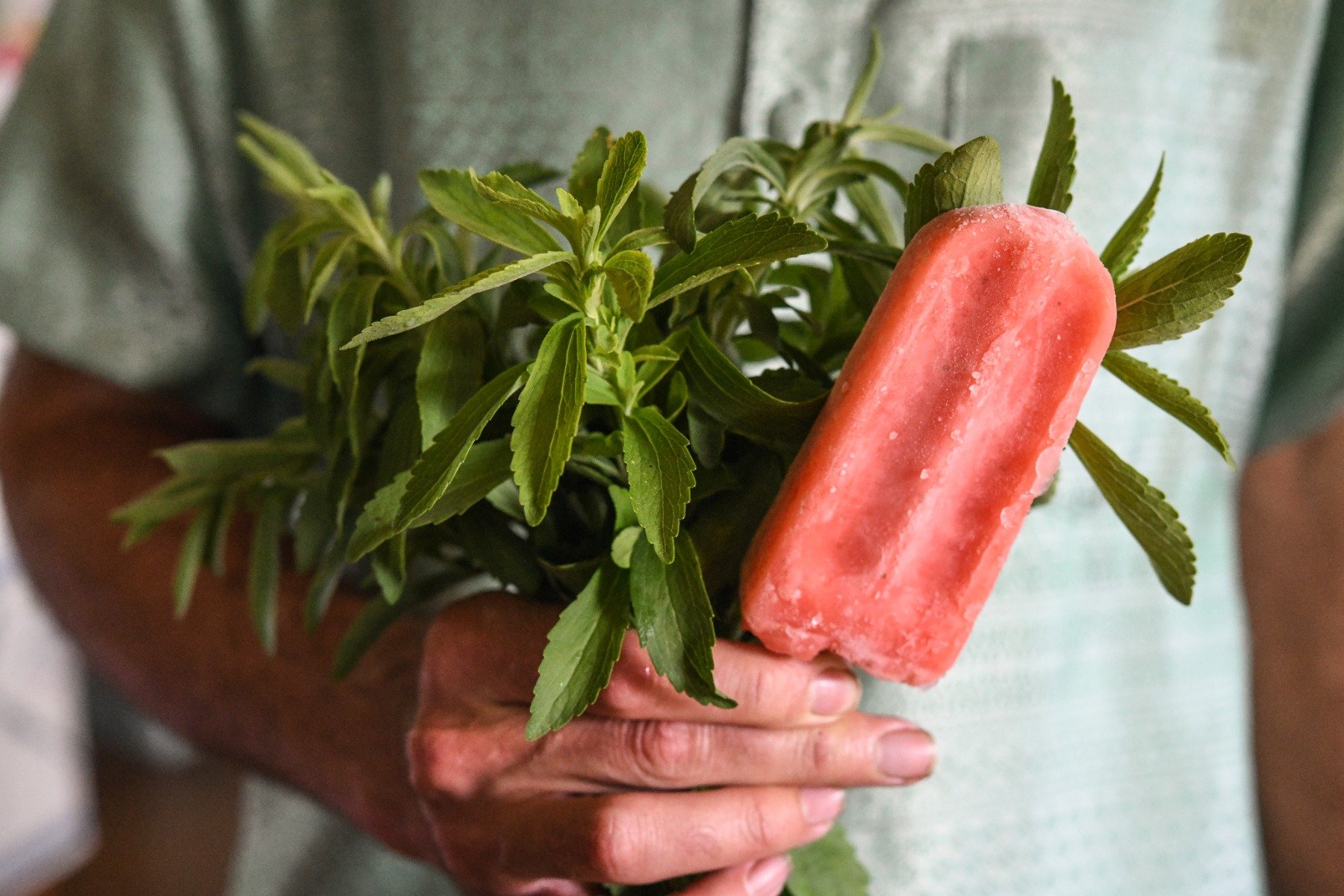 A person holding stevia leaves with an ice cream in his hand.