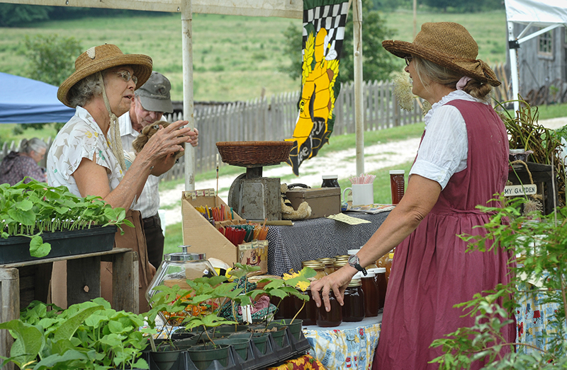Baker Creek Festival