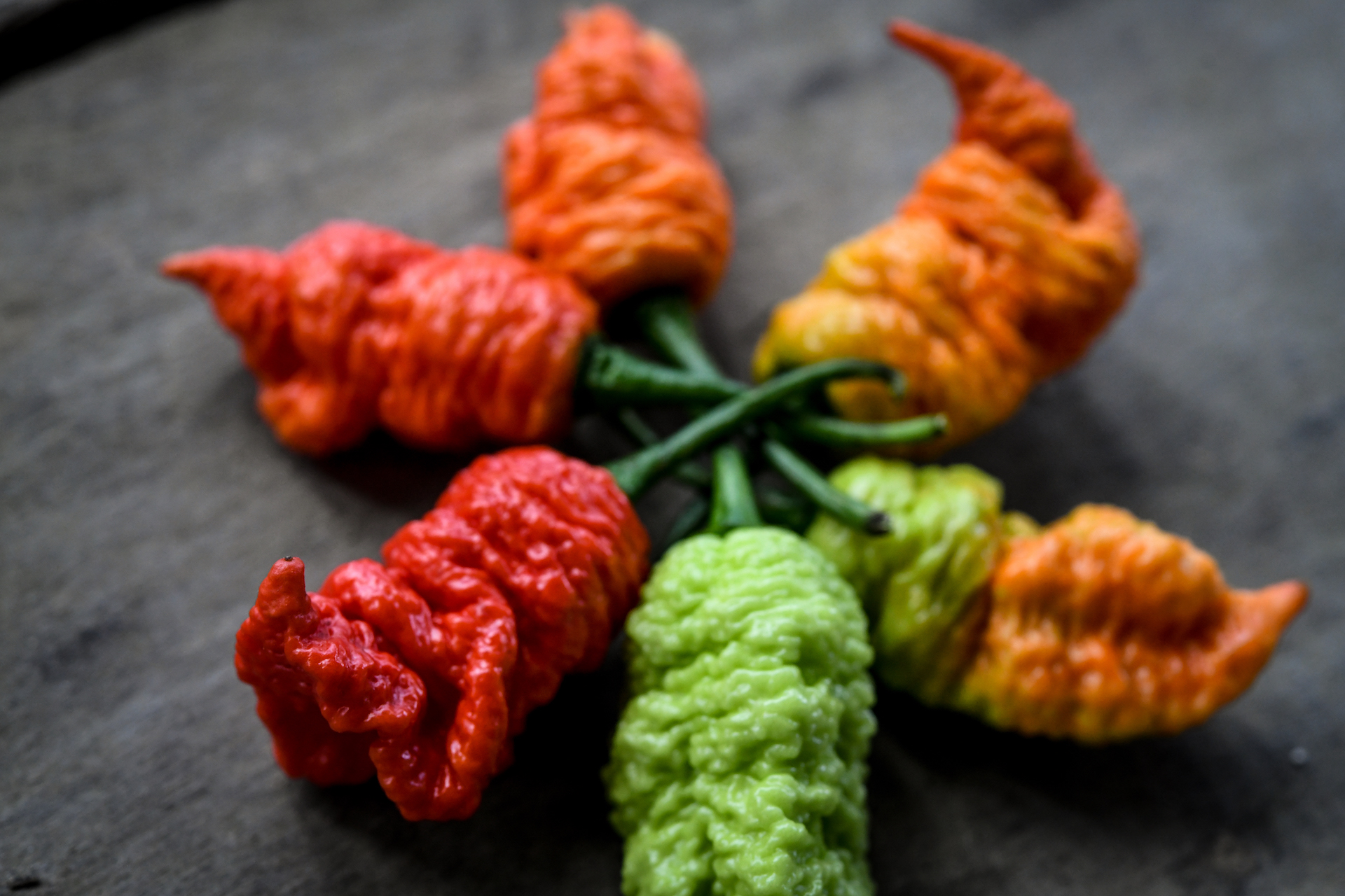 Death Spiral Pepper: Fruity And Hot | Baker Creek Heirloom Seeds