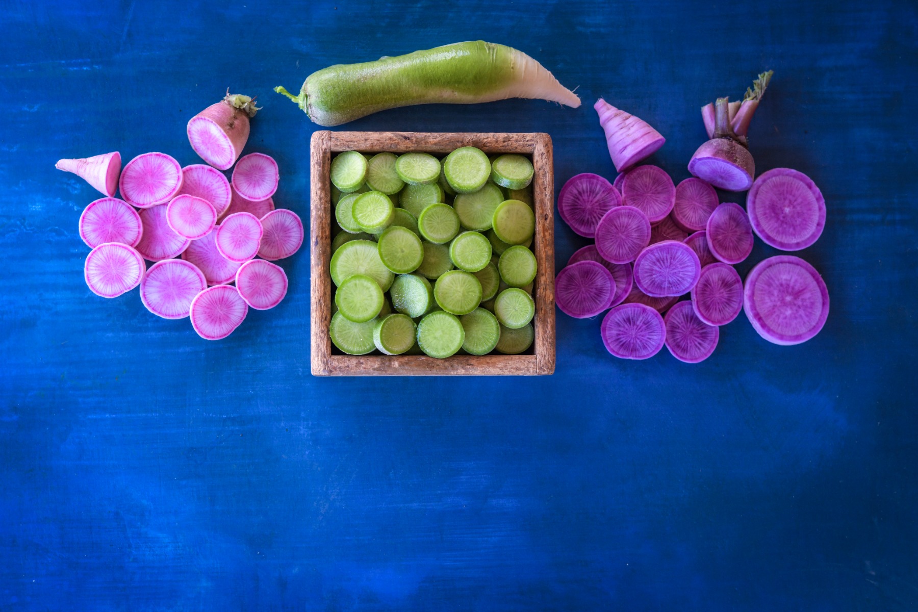 Pink and green winter radish on the blue background