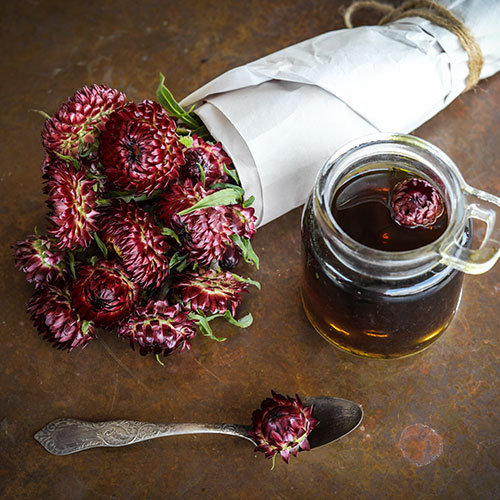 How to Grow Strawflowers from Seed —