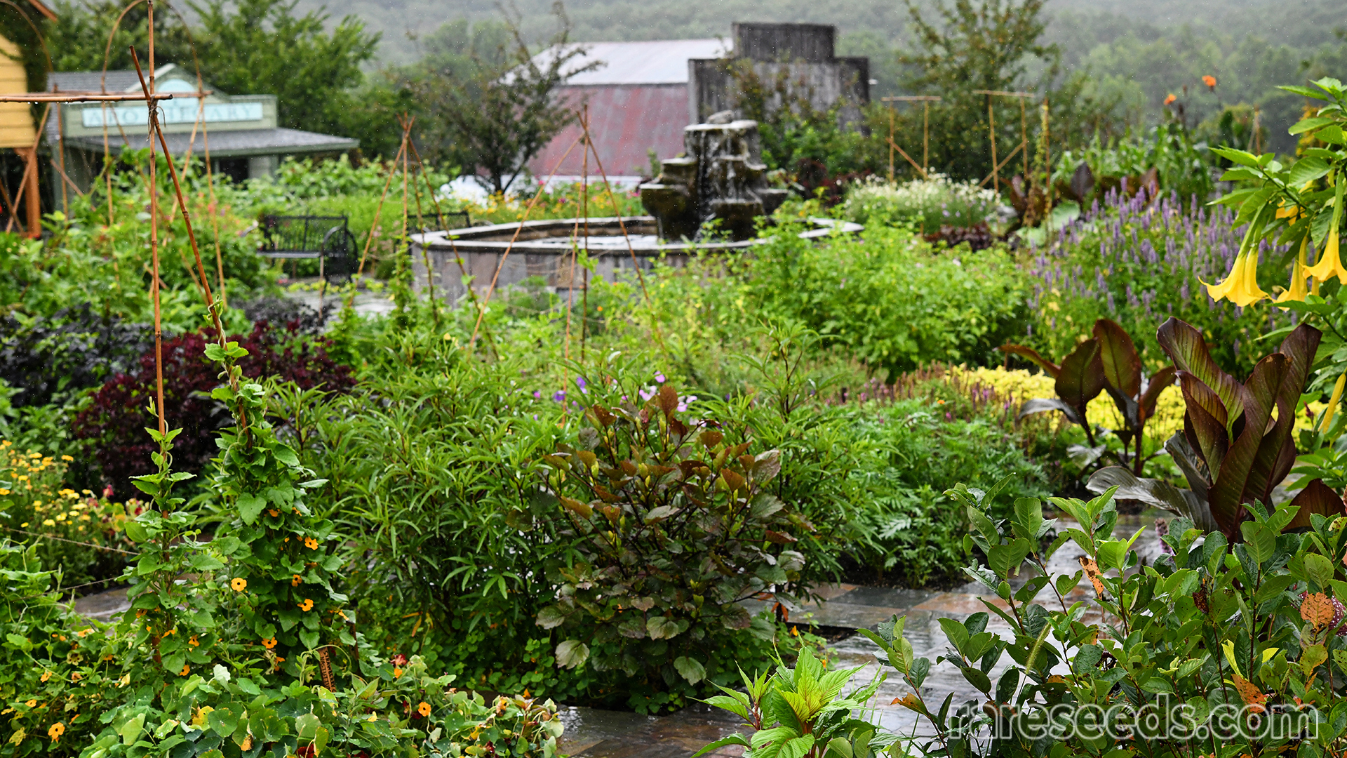 Scenic view of tile garden in rain