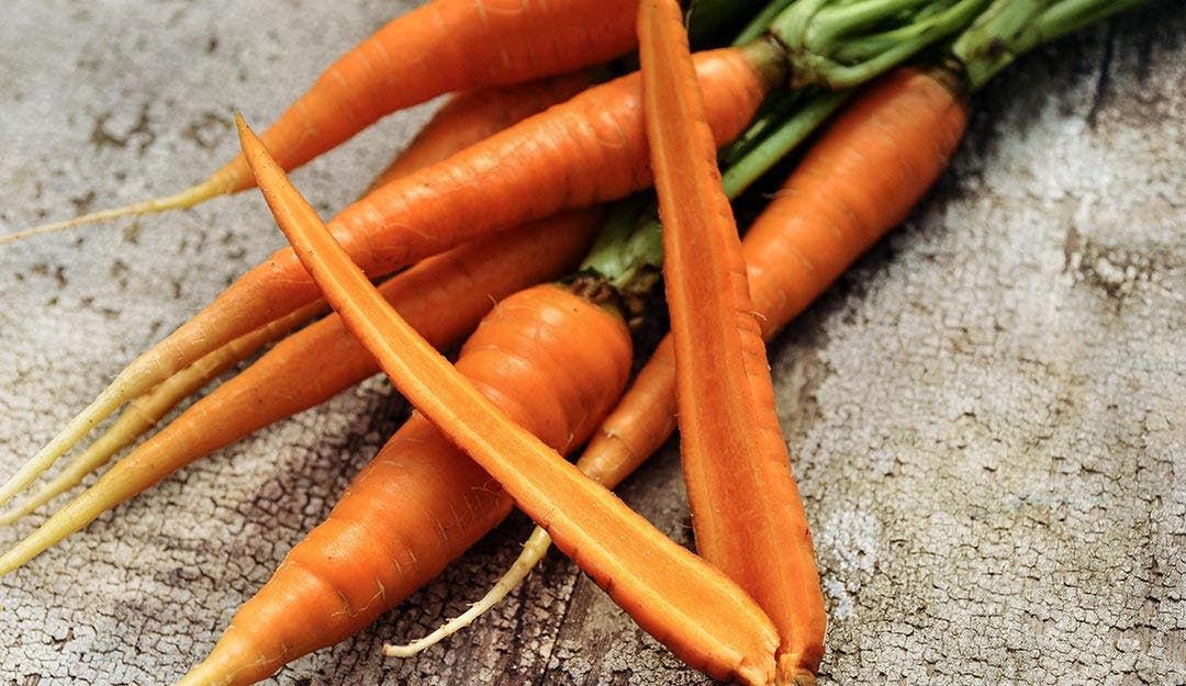 Danver's 126 Half Long Carrot