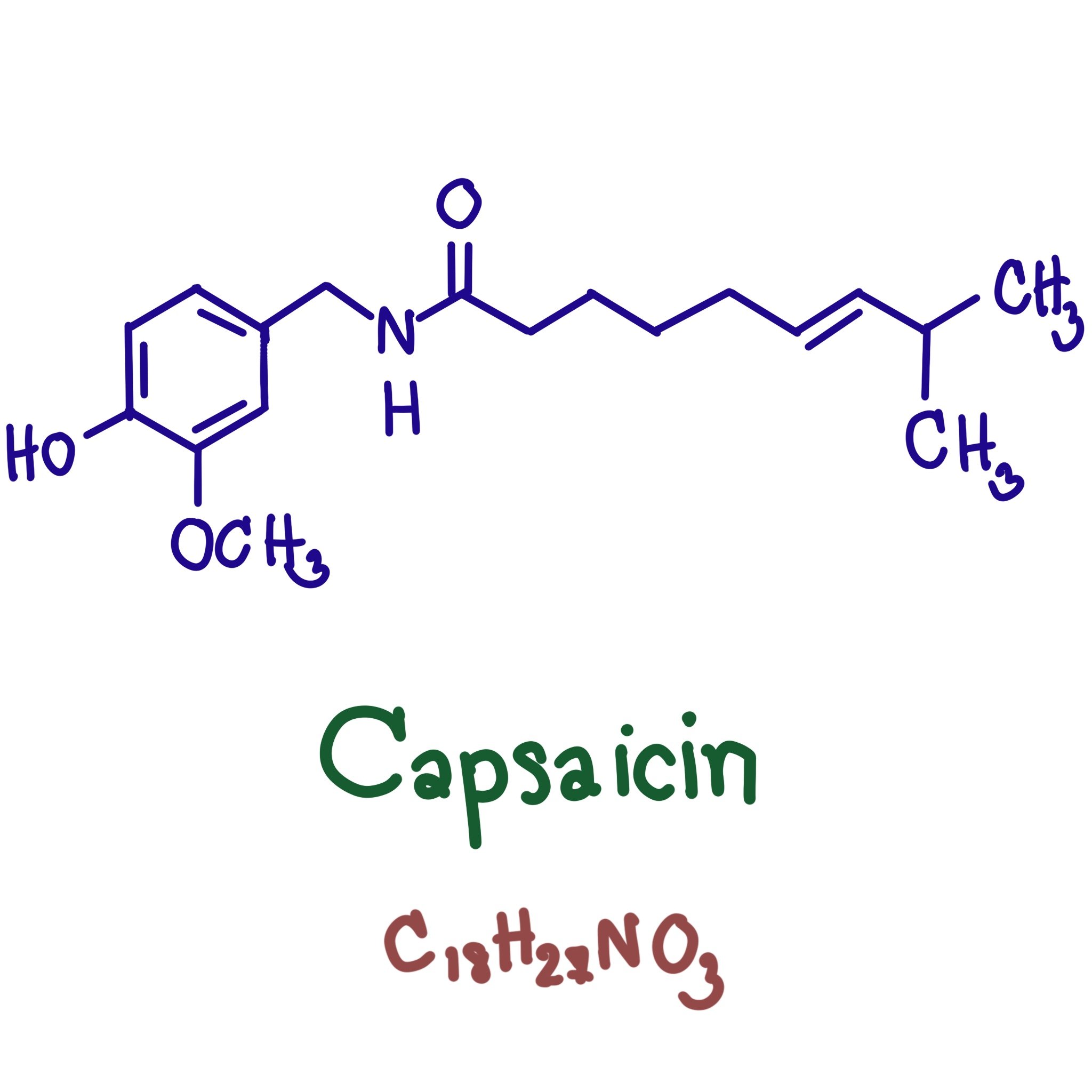 Shutterstock graphic of capsaicin